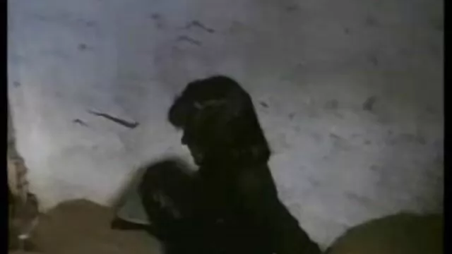 انجمن بدون ثبت نام  یک زن کامل آسیایی با لباس آبی ، یک مرد سیاهپوست بزرگ را با ضرب و شتم از شلوار خود گرفت و عکس سکس سینه دختر او را با بازوها گرفت